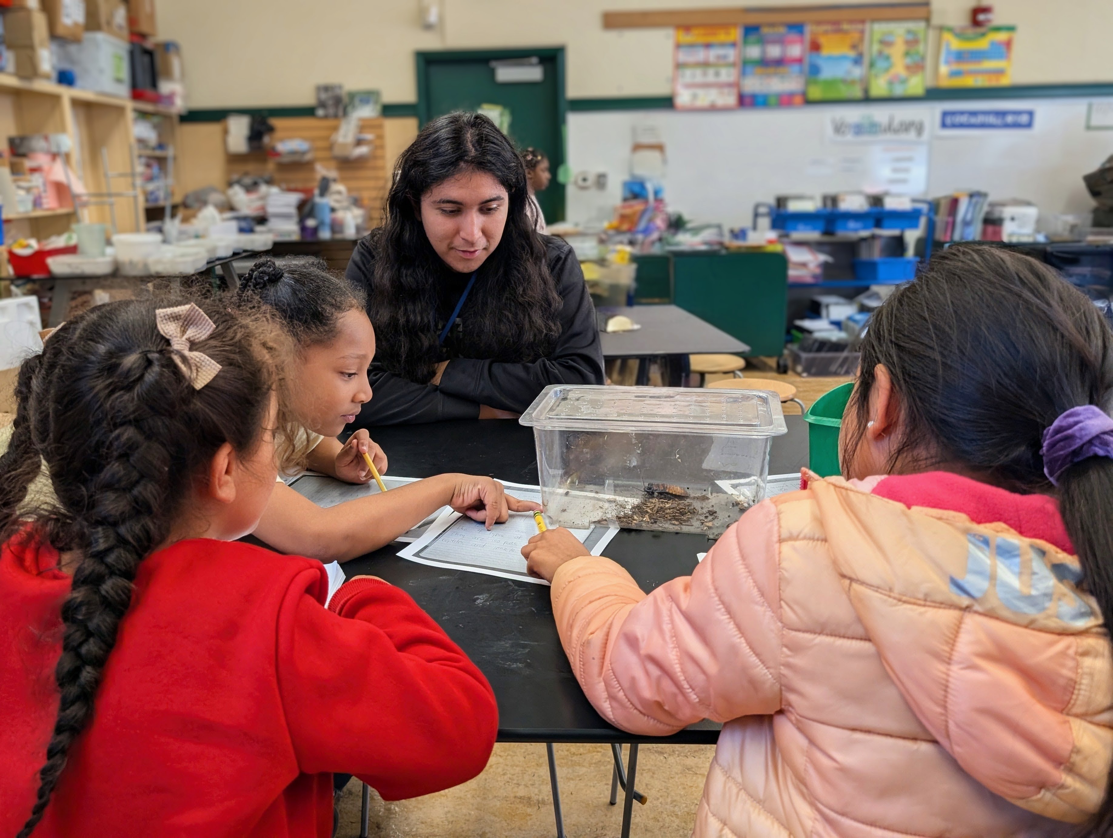 An OakTown Leader supporting children as they observe a classroom habitat and complete an activity together